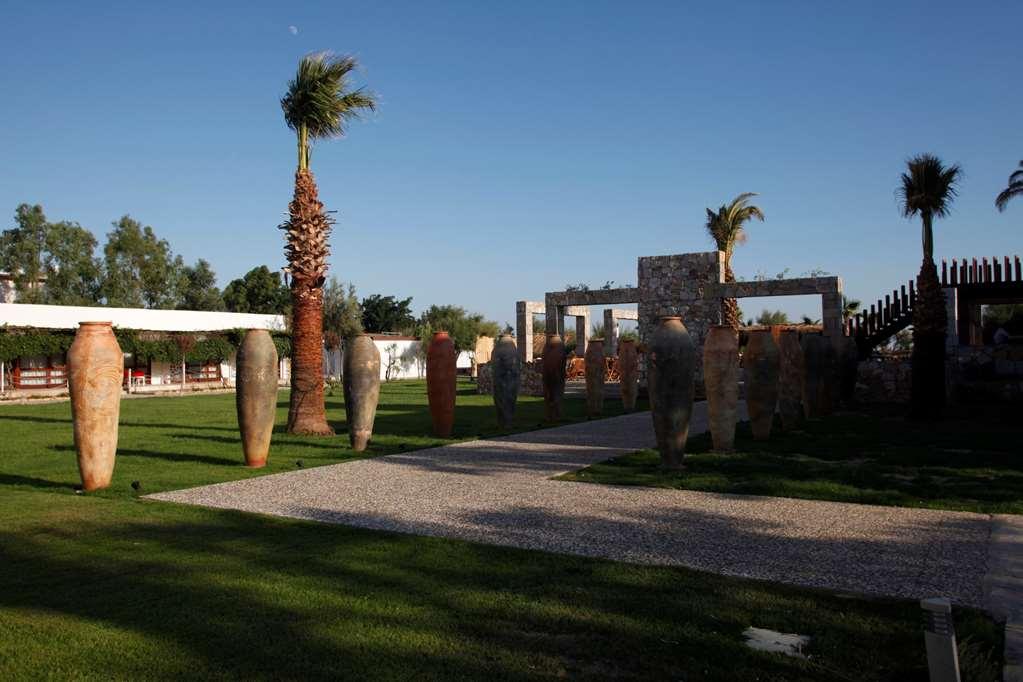 Hotel Aytas 3*
