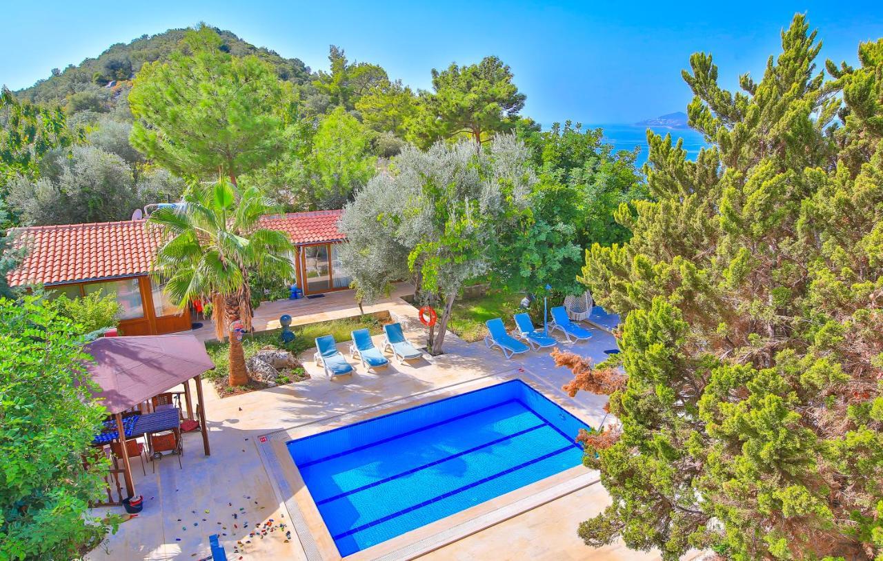 Dundar - Apartment *