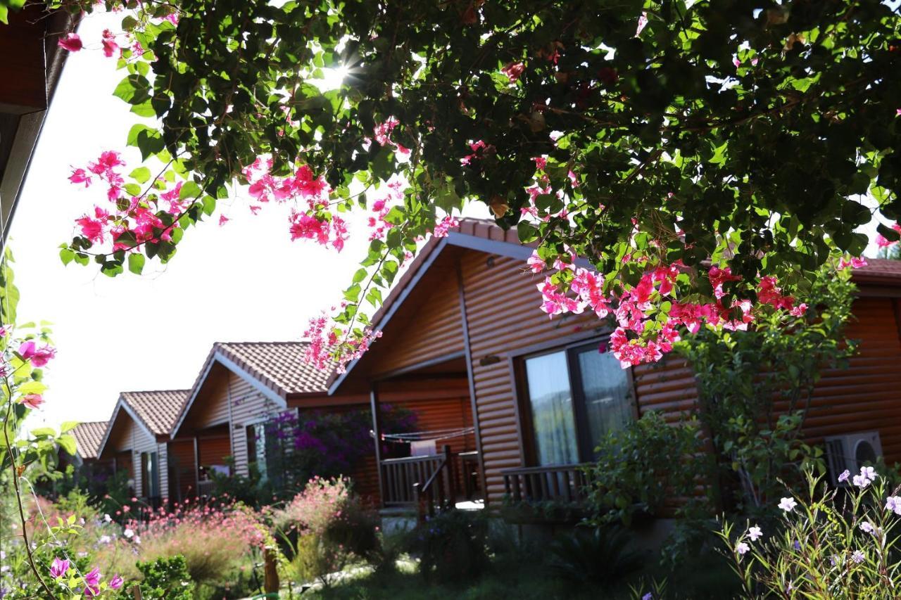 Leontopolis Aparthotel