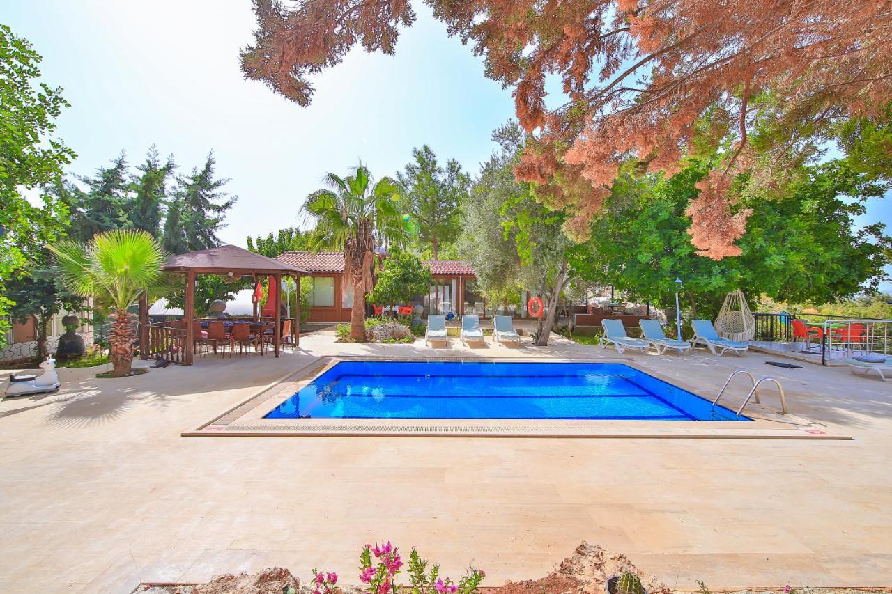 Apartment Dundar -