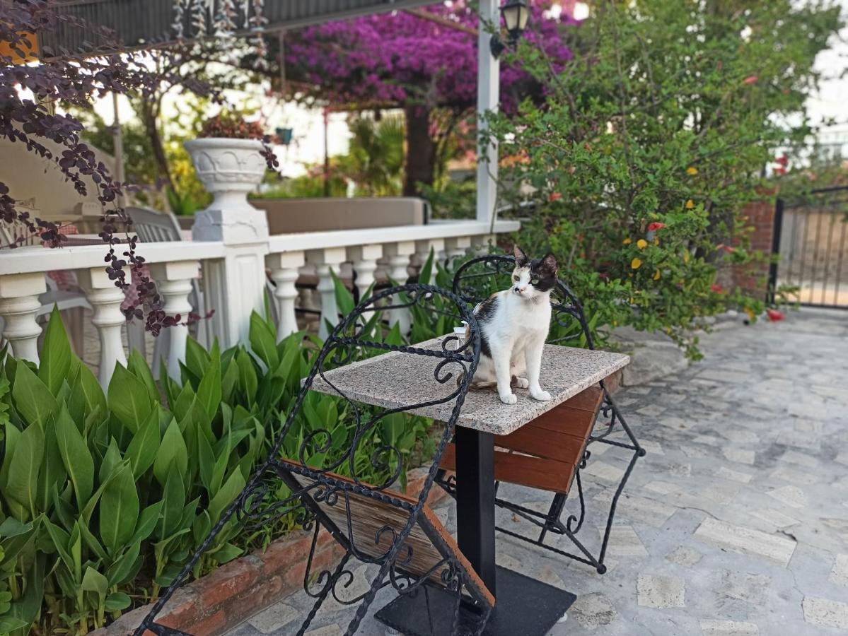 Isil Dalyan