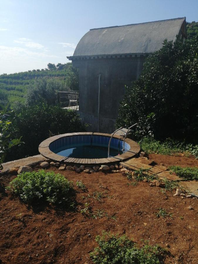 Heredot's House Lodge *