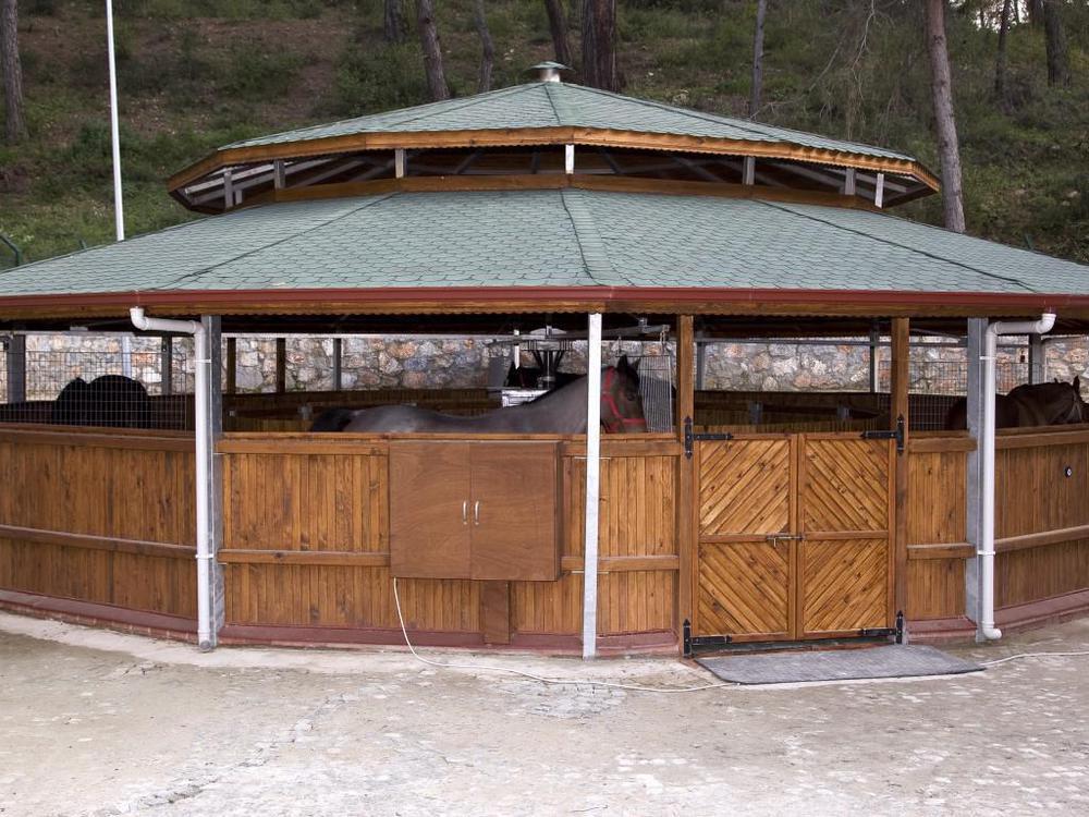 Padok Premium & Stables Gokova