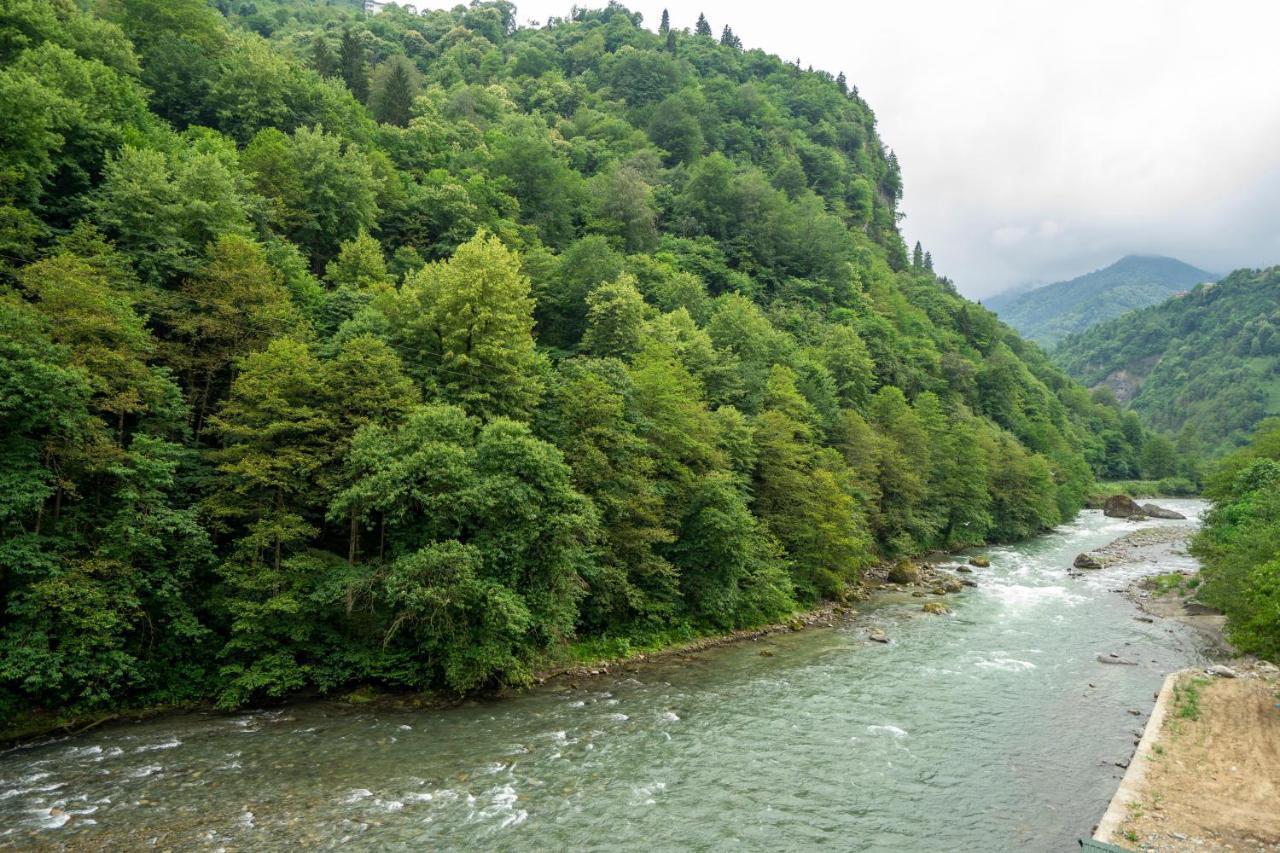 Valley