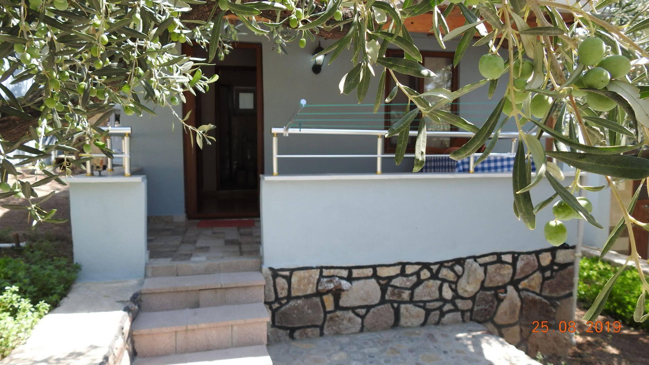 Nazan & Restaurant & Assos