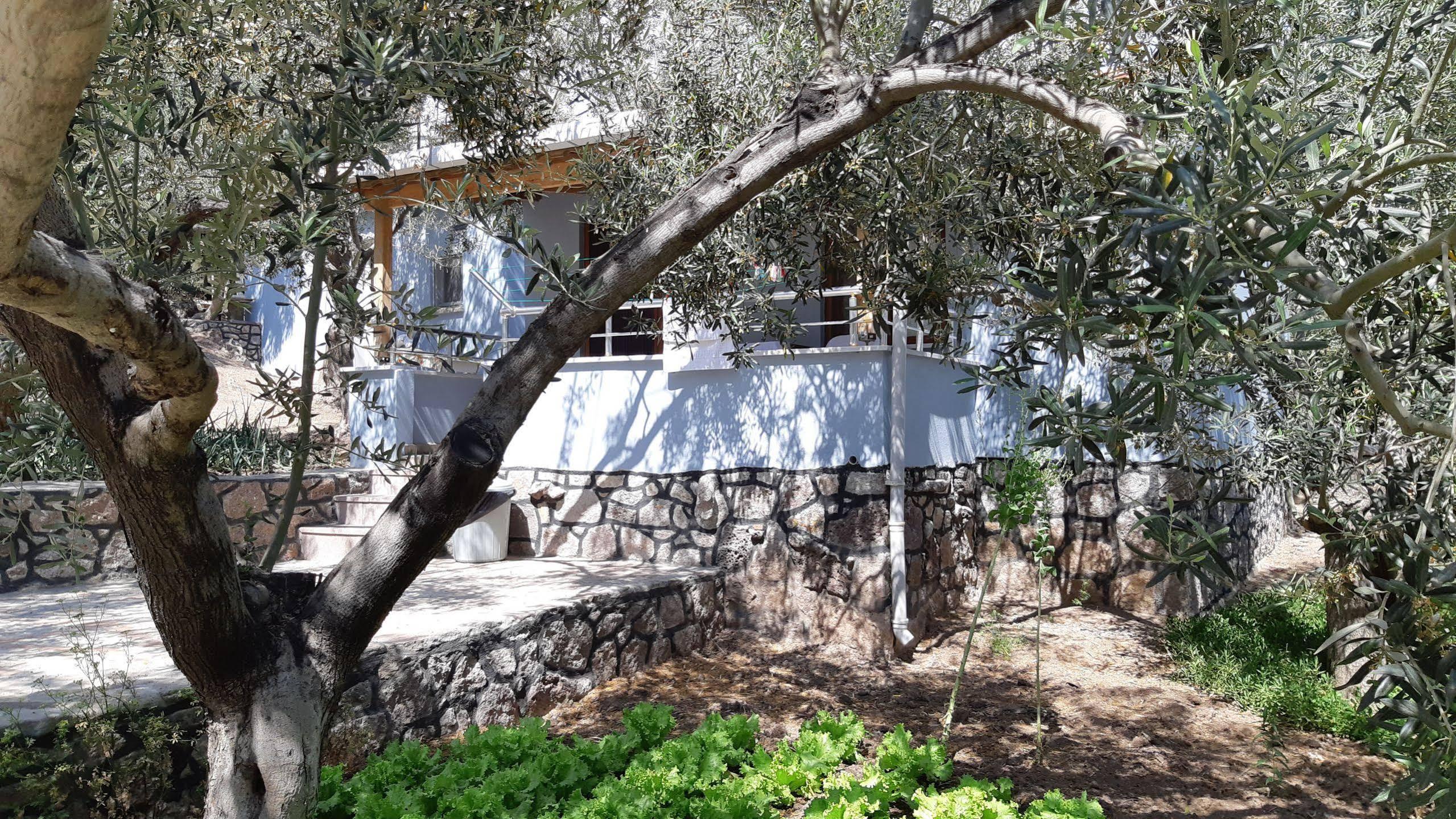 Hotel Nazan & Restaurant & Assos