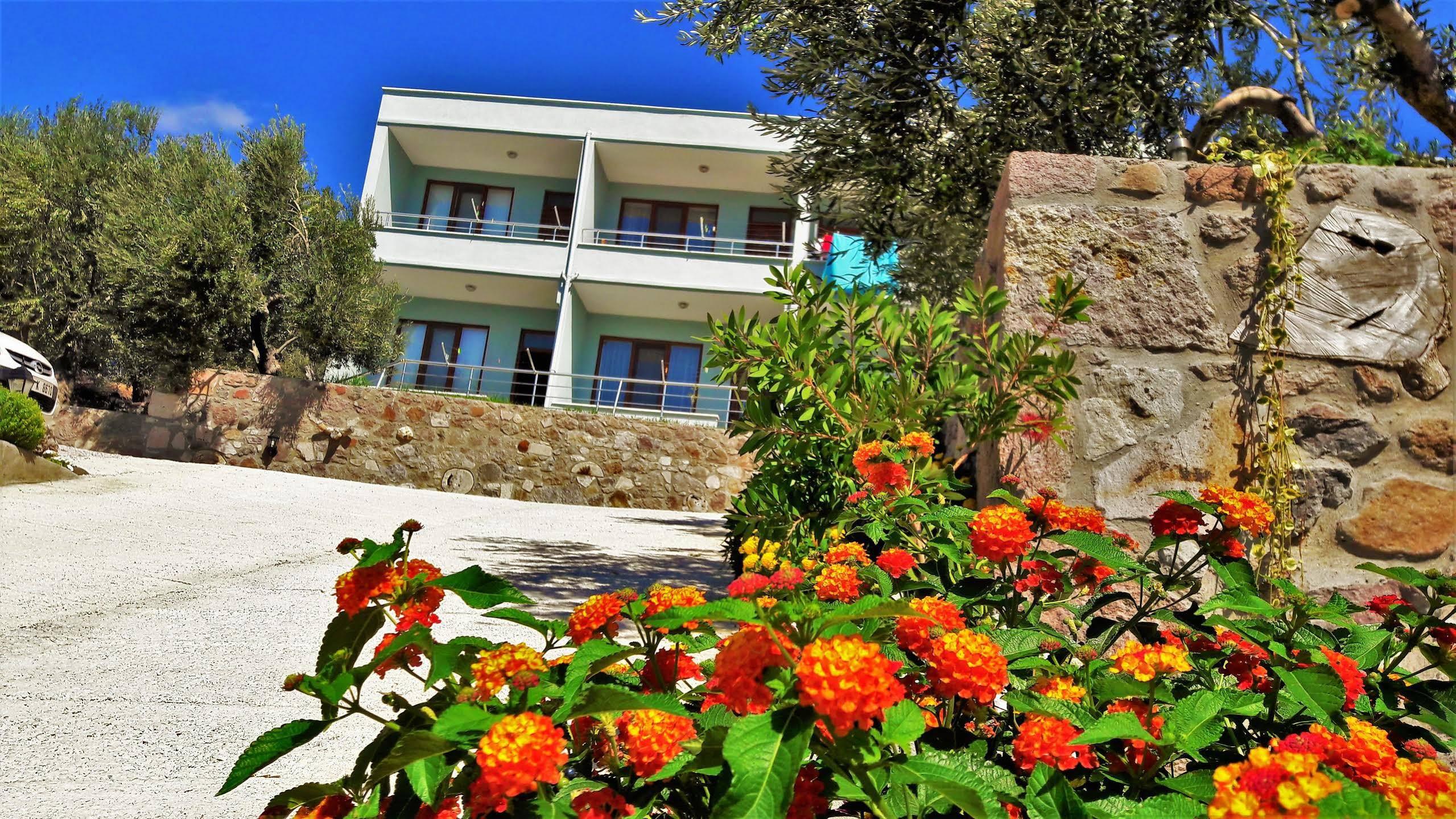 Nazan & Restaurant & 3* Assos
