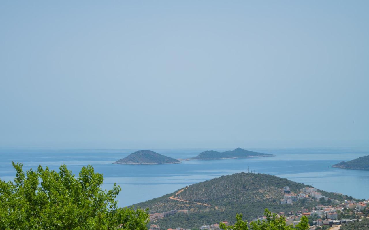 Mulberry Villa Kas