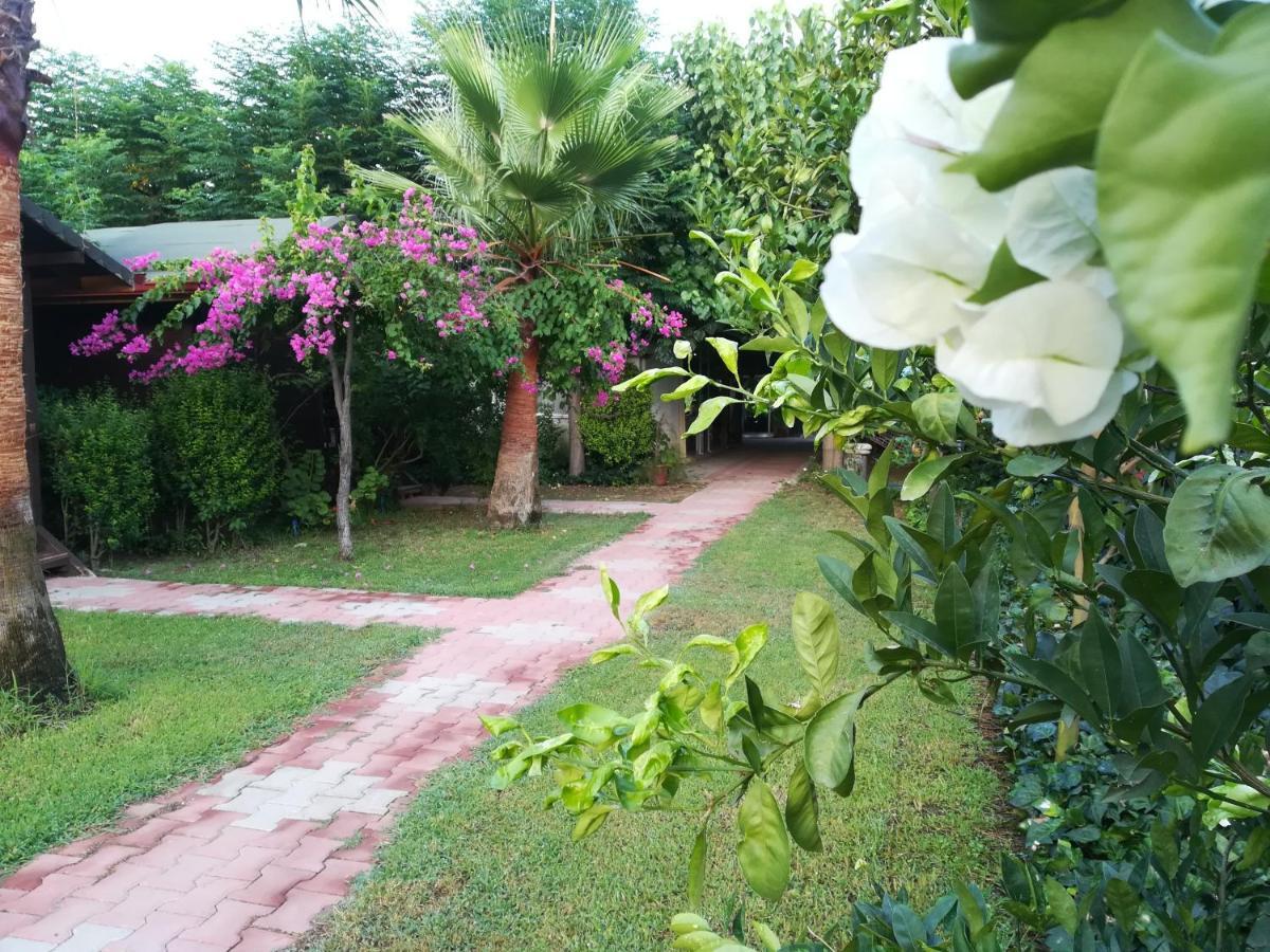 Homestay Kervan Cirali
