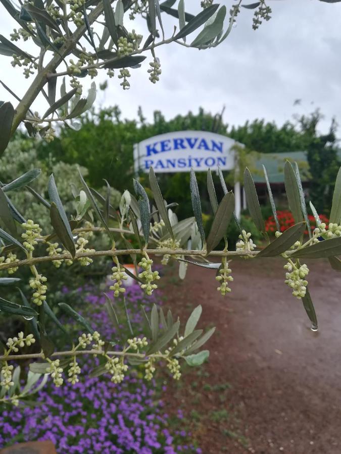 Homestay Kervan