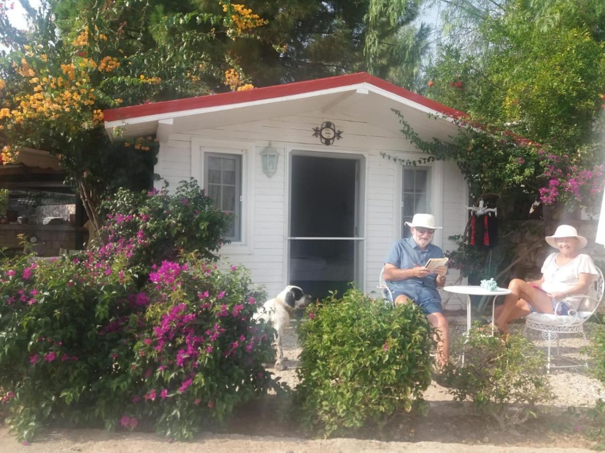 Losta Sahil Evi - Adults Only +12 Selimiye (Aegean)