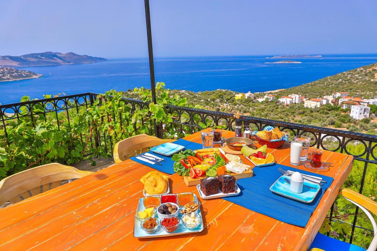 Elit Guest house