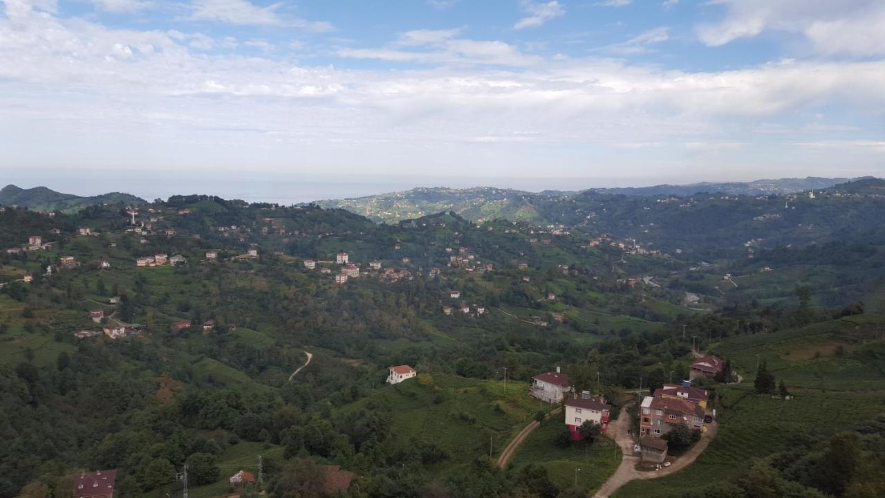 Hasdikoz Abdik Hotel