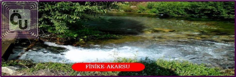 Oz Ulutas Evleri