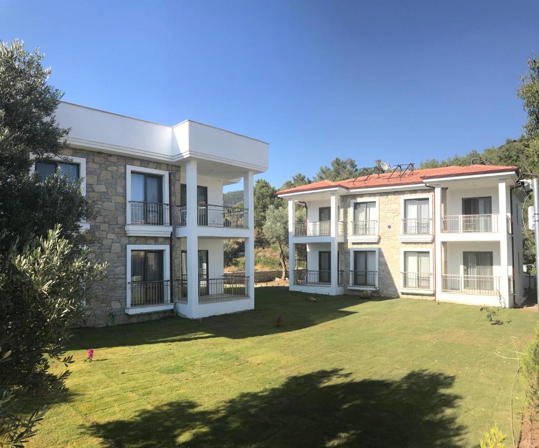 Oliva Casa *