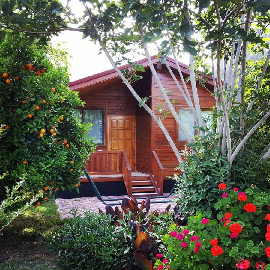 Bed & Breakfast Asya Cirali