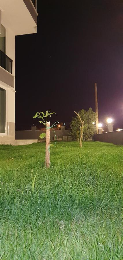 Apartment Yildiz *