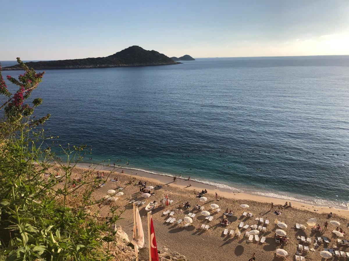 Eco Sardunya Kalkan