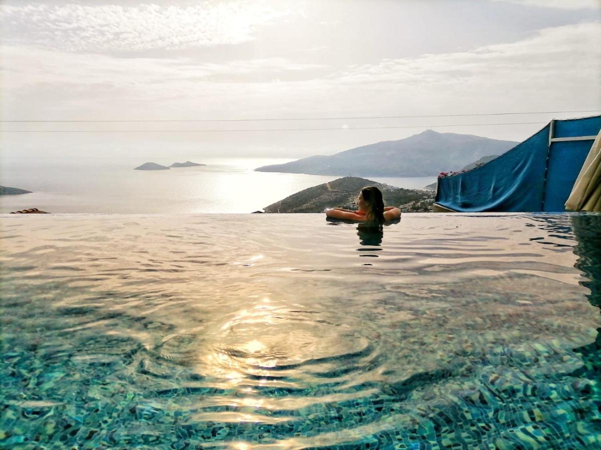 Eco Zeytin Kalkan