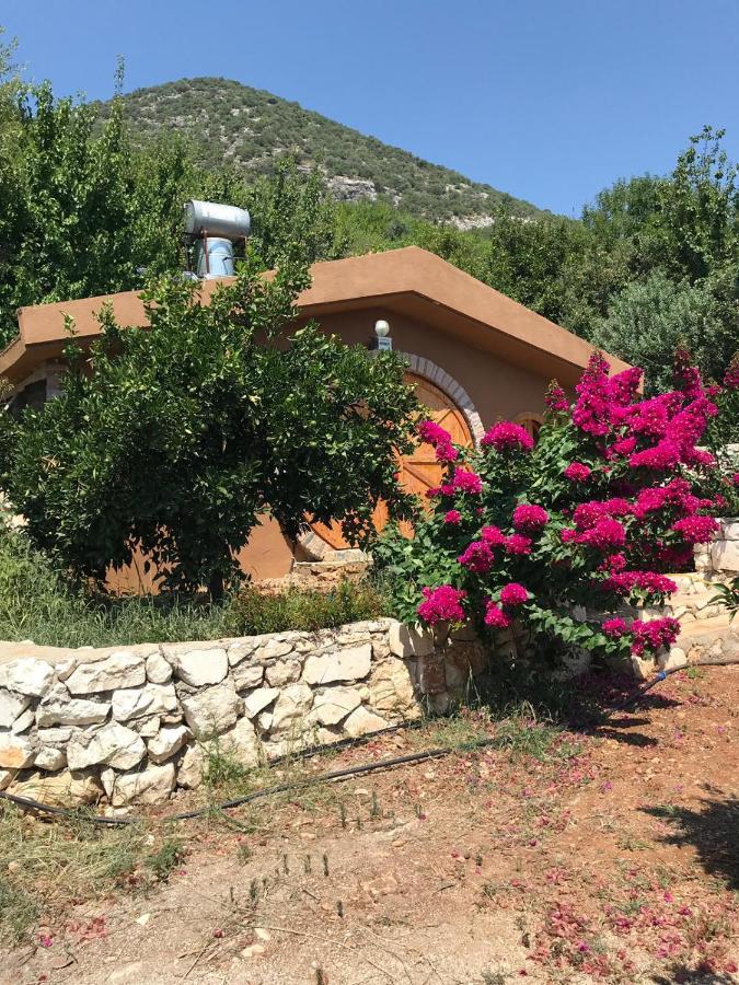 Heredot's House Finike