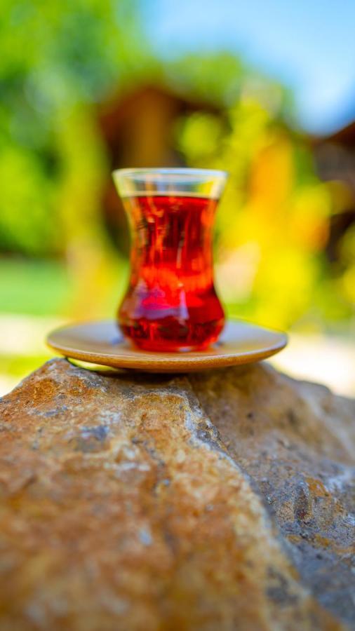 Abant