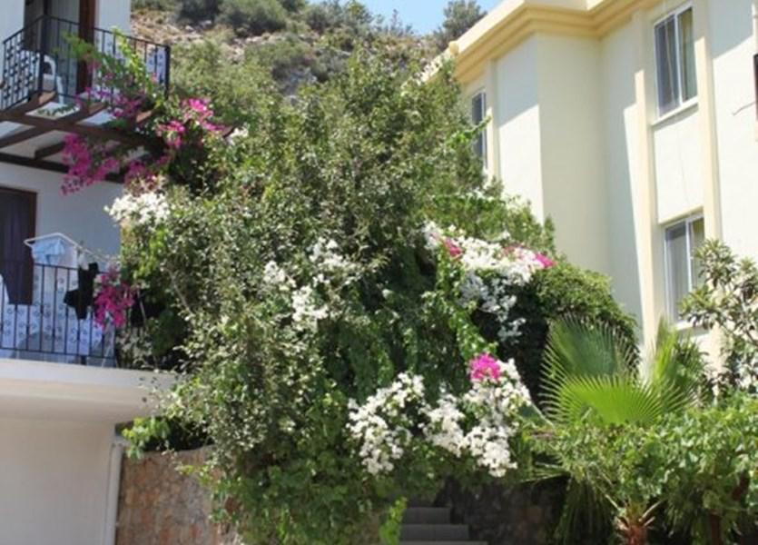 Aparthotel Lacivert Boutique Hotel