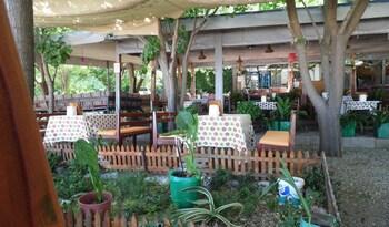 Hotel Olympos Yavuz
