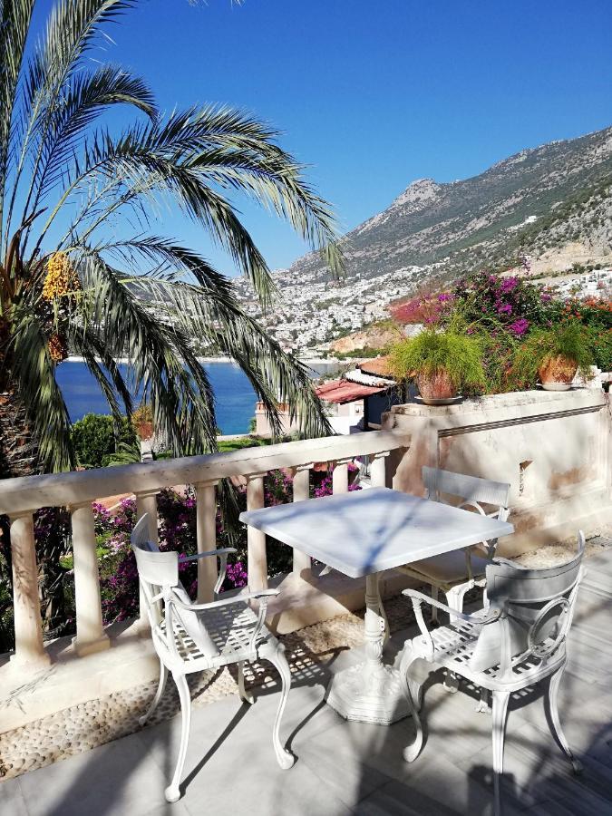 Sea View Bougainvillea 52