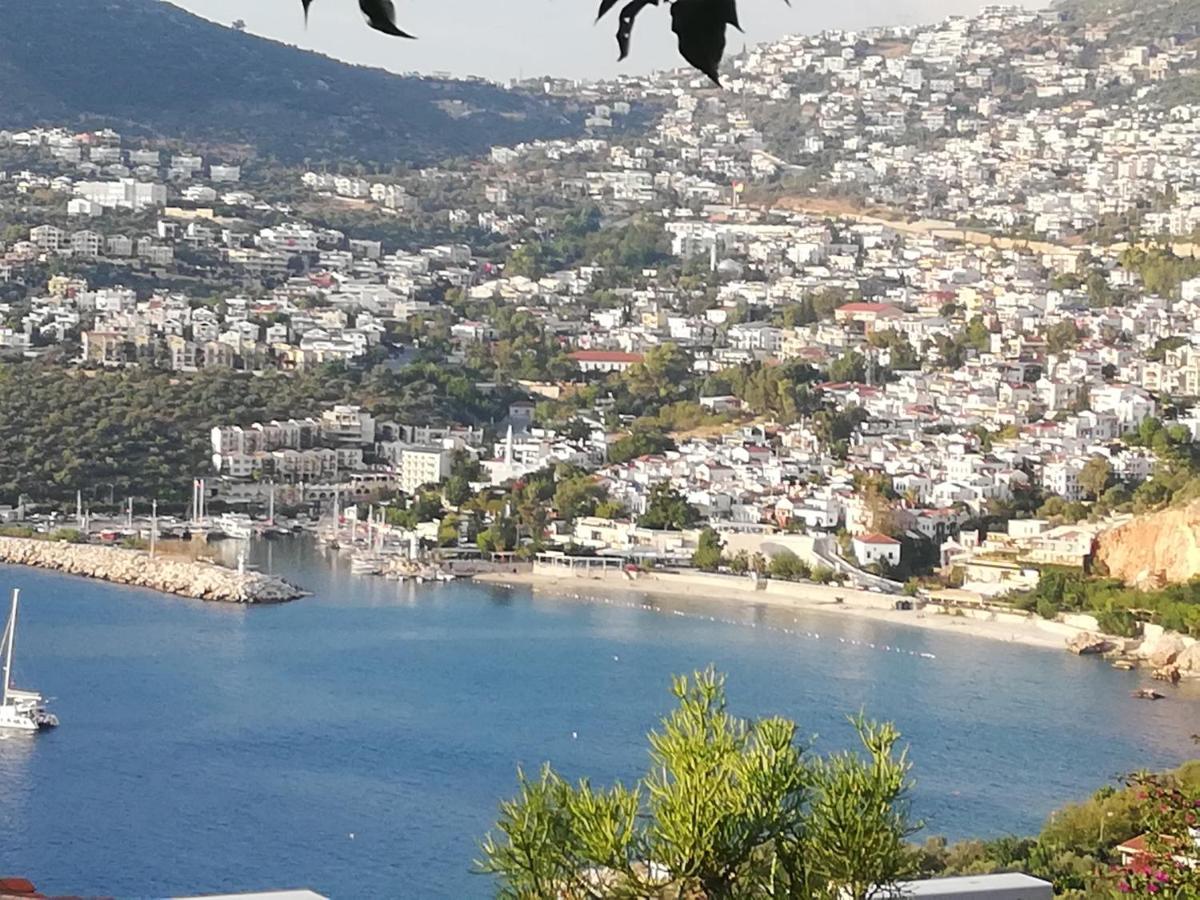 Sea View Bougainvillea 52 *