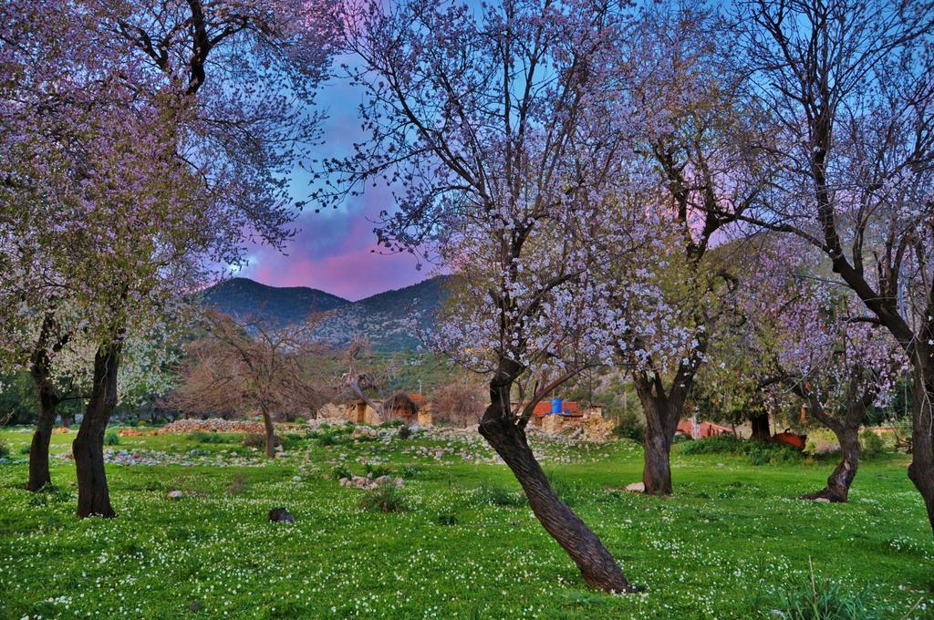 Beymelek Tas Evler Country house Demre