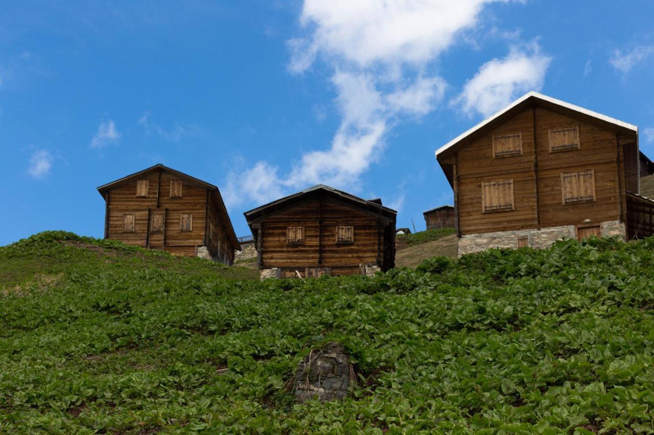 Ricosta 5* Rize