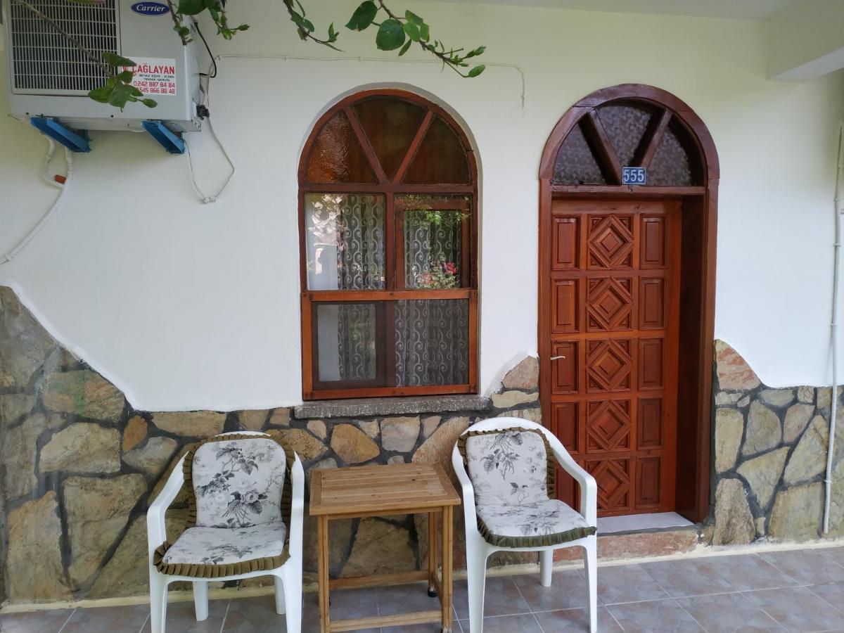 Olympos Yavuz