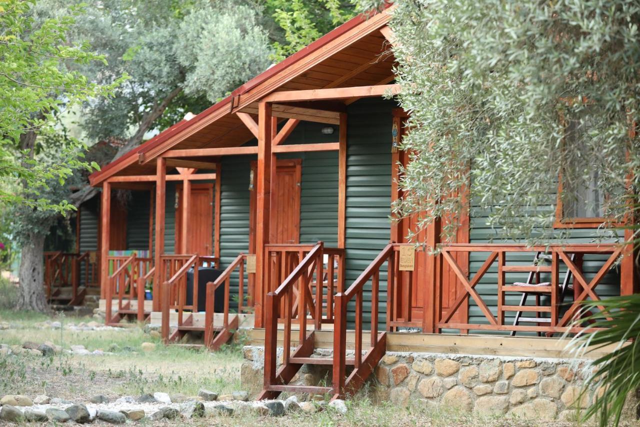 Eden And Beach Resort