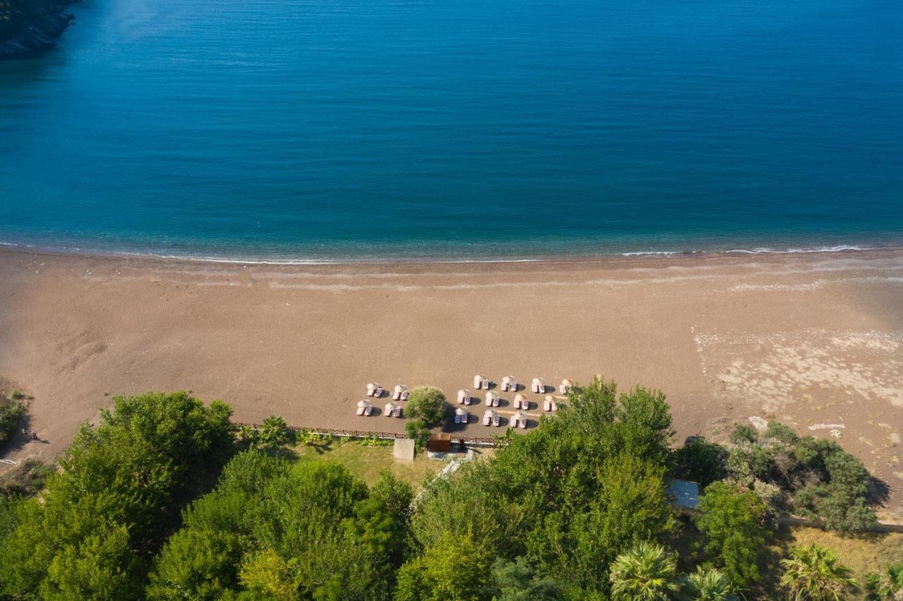 Eden And Beach *