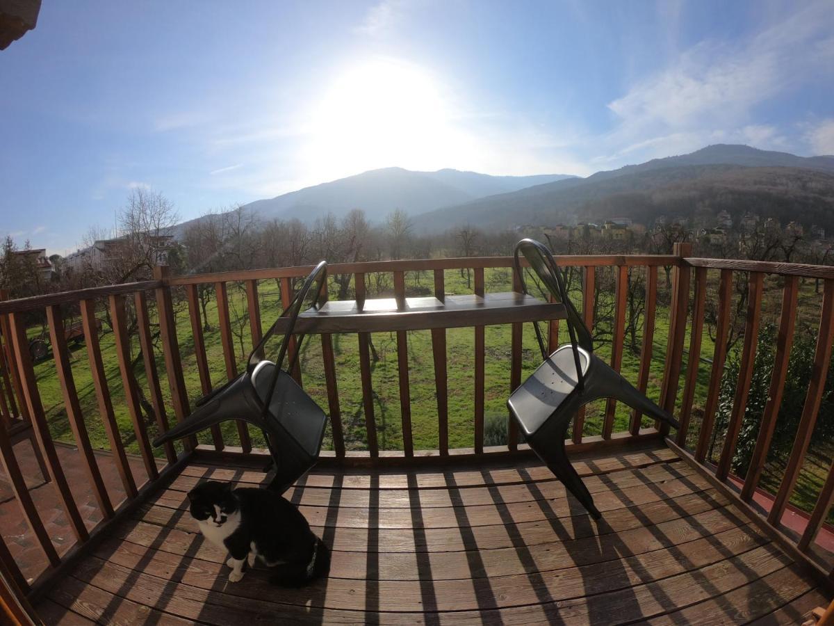 Cevizdibi 4* Masukiye