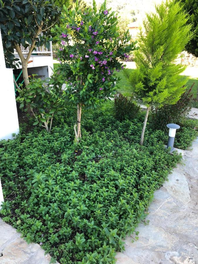 Beyaz Iskele & Restaurant 5*