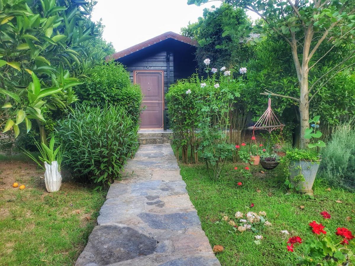 Portalimo - Adult Only +12 Lodge