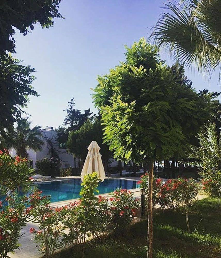 Selvi Hotel Golturkbuku