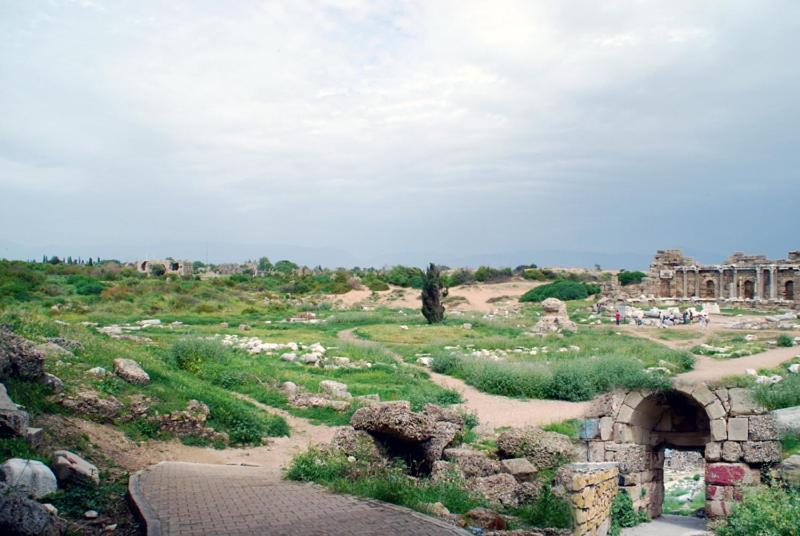 Akasya (adults Only) Side