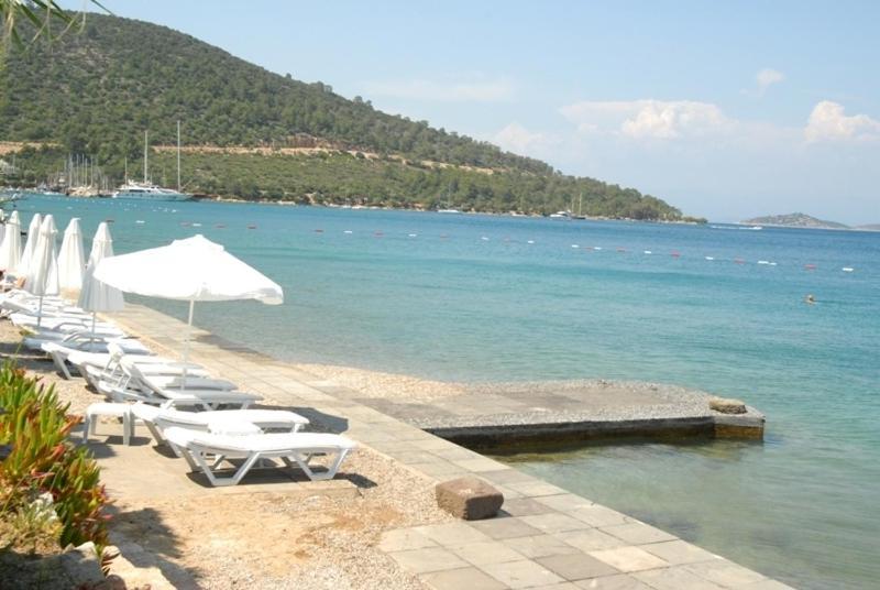 Torba Residence Apartment *