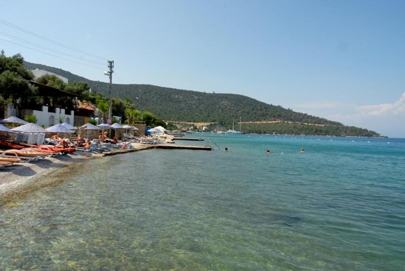Apartment Torba Residence Torba