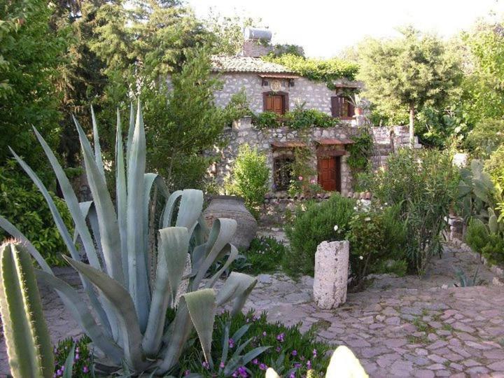 Guest house Medusa House Butik
