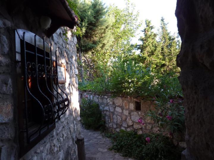 Medusa House Butik Guest house Didim
