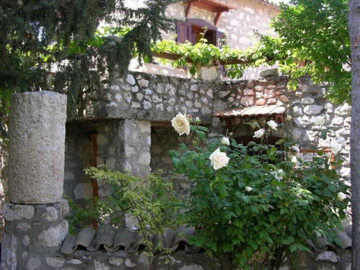 Medusa House Butik Didim