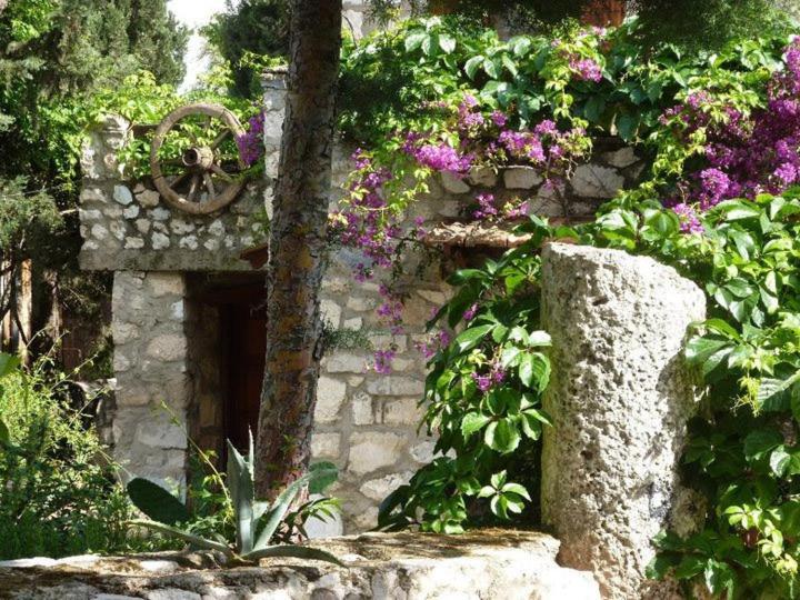 Medusa House Butik Guest house