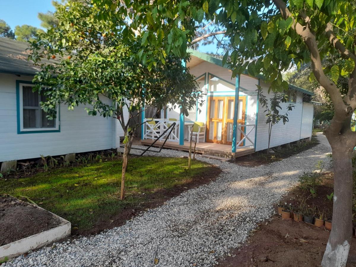 Guest house Bellerofon 3*