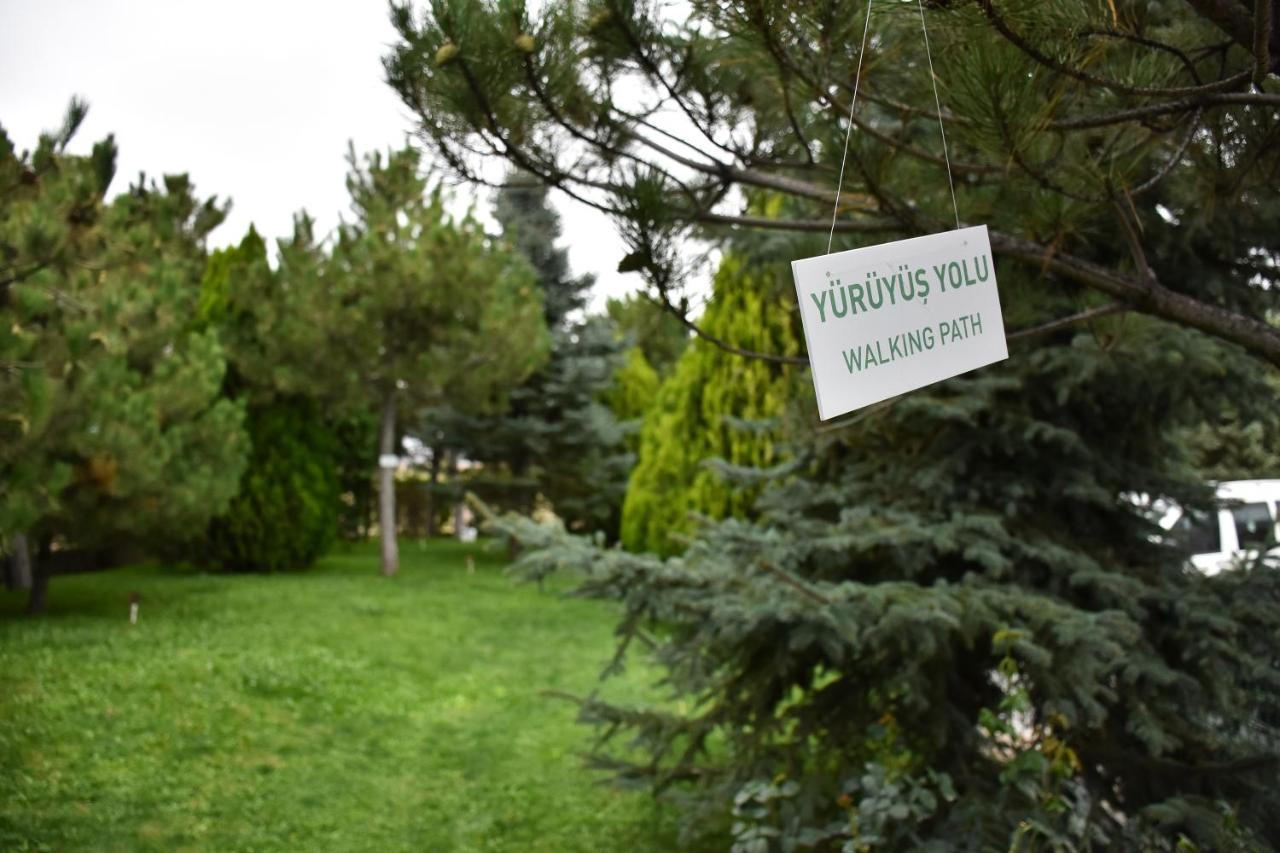Ikbal Thermal & Afyon 5*