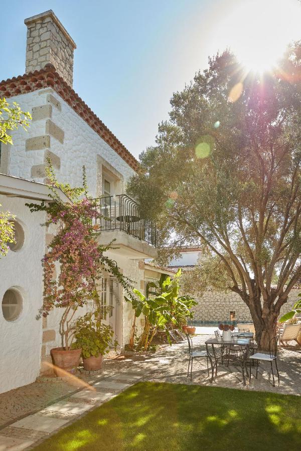 Guest house Morro