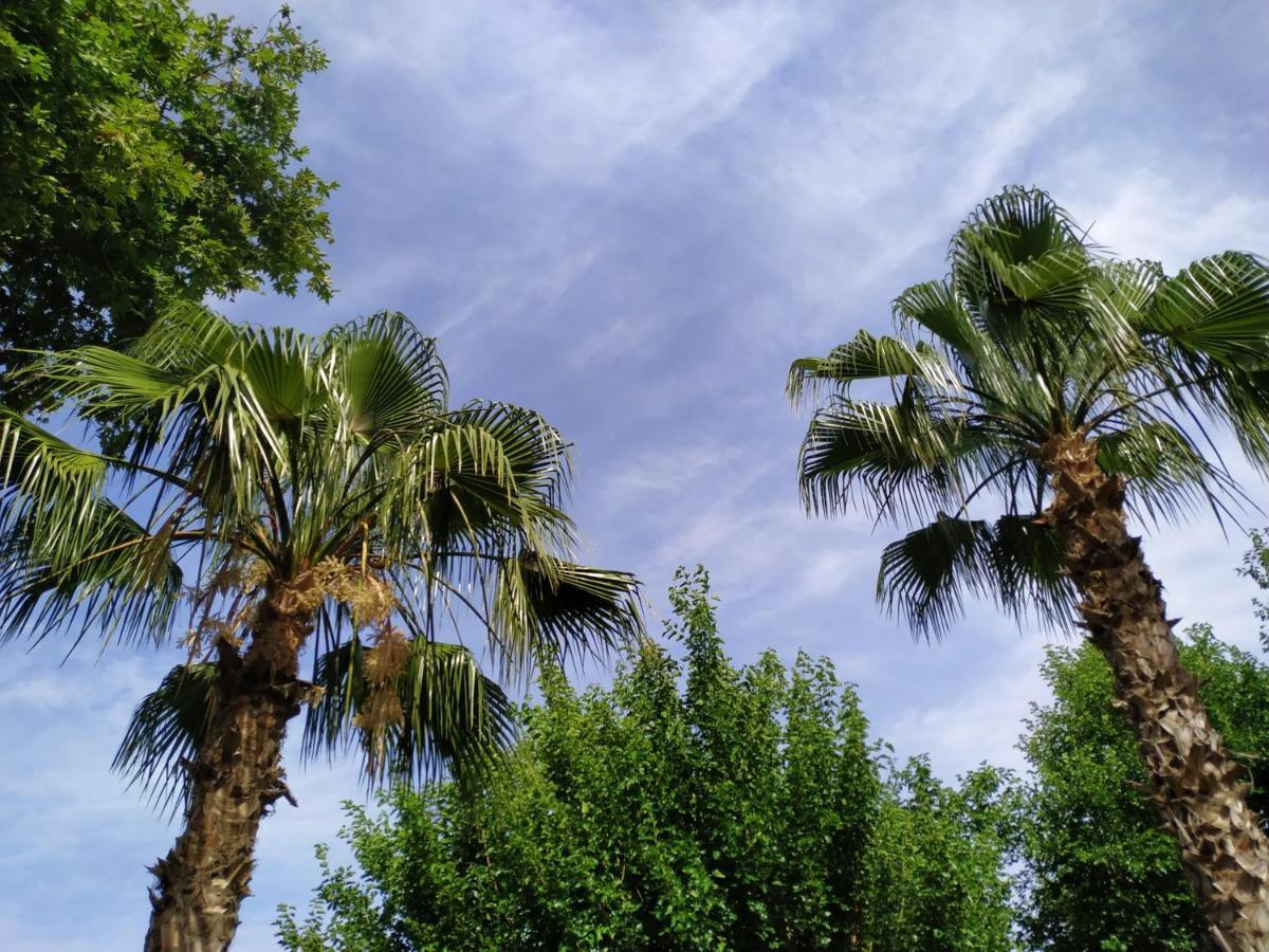 Olympos Yavuz *