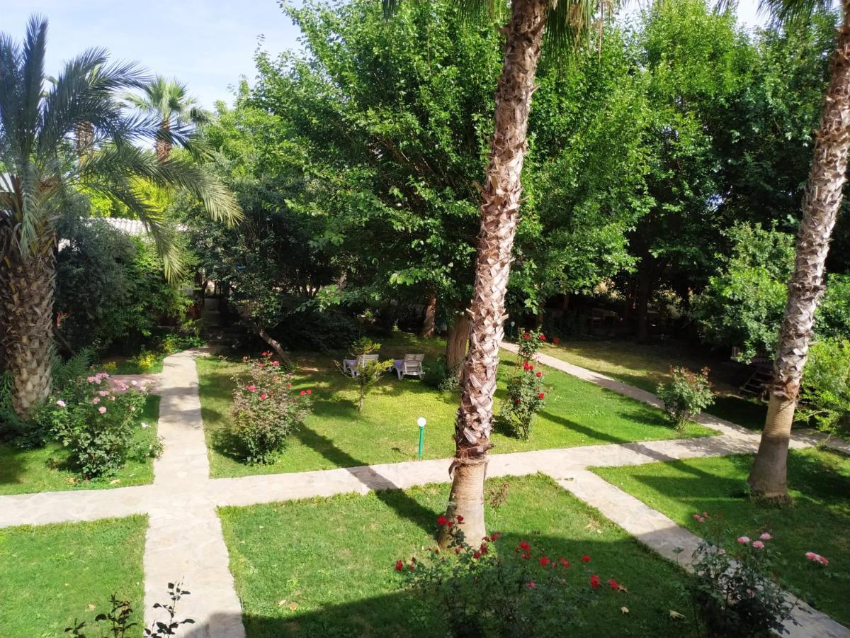 Olympos Yavuz *